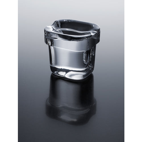 Summit 62 lb. Clear Outdoor/Indoor Icemaker BIM68OSPUMP