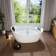 Empava - 67" Freestanding Hydro Massage Whirlpool Bathtub with Reversible Drain - EMPV-67AIS02 - IMG1