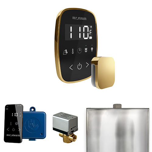 Mr. Steam - ButlerFlex Control Pkg BUTLERFLEX PKG (Polished Brass / Black) - BFBKPB - IMG8