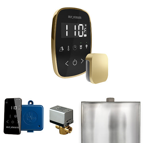 Mr. Steam - ButlerFlex Control Pkg BUTLERFLEX PKG (Satin Brass / Black) - BFBKSB - IMG11