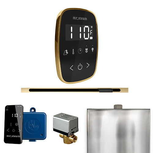 Mr. Steam - ButlerFlex Linear Control Pkg BUTLERFLEX LINEAR PKG (Polished Brass / Black) - BFLBKPB - IMG8