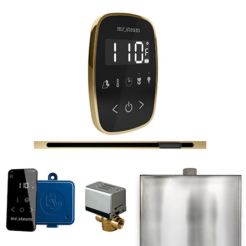 Mr. Steam - ButlerFlex Linear Control Pkg BUTLERFLEX LINEAR PKG (Satin Brass / Black) - BFLBKSB - IMG11