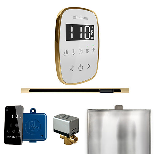 Mr. Steam - ButlerFlex Linear Control Pkg BUTLERFLEX LINEAR PKG (Polished Brass / White) - BFLWHPB - IMG21