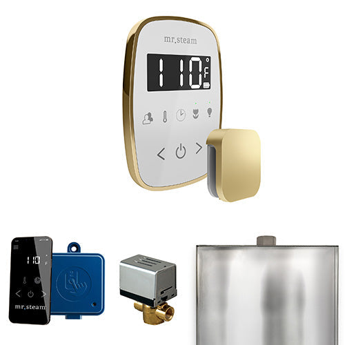 Mr. Steam - ButlerFlex Control Pkg BUTLERFLEX PKG (Satin Brass / White) - BFWHSB - IMG24
