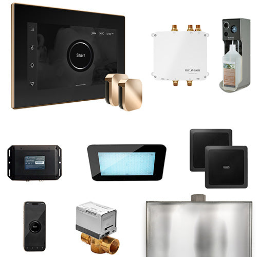 Mr. Steam - Bliss Max Control Pkg BLISS MAX PKG (Polished Gold / Black) - BLS1-BKXPG - IMG9