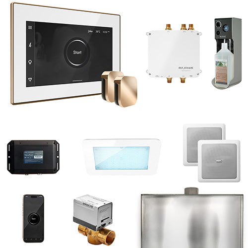 Mr. Steam - Bliss Max Control Pkg BLISS MAX PKG (Polished Gold / White) - BLS1-WHXPG - IMG22