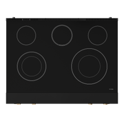 THOR Kitchen - 36-inch Gordon Ramsay Series Professional Electric Range with Tilt Panel Touch Control in Black/Bronze - RSE36B-BRZ - IMG7