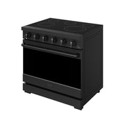 THOR Kitchen - 36-inch Gordon Ramsay Series Professional Electric Range in Black - RSE36PB - IMG6