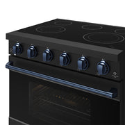 THOR Kitchen - 36-inch Gordon Ramsay Series Professional Electric Range in Black/Blue - RSE36PB-BLU - IMG6