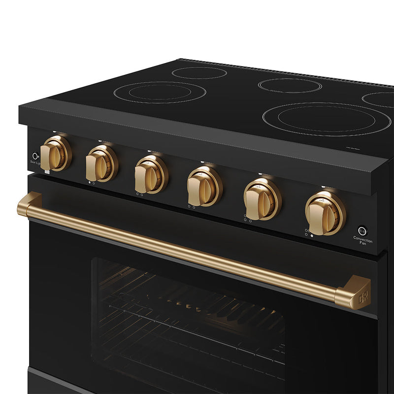 THOR Kitchen - 36-inch Gordon Ramsay Series Professional Electric Range in Black/Bronze - RSE36PB-BRZ - IMG6