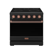 THOR Kitchen - 36-inch Gordon Ramsay Series Professional Electric Range in Black/Rose Gold - RSE36PB-RSG - IMG1