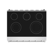 THOR Kitchen - 36-inch Gordon Ramsay Series Professional Electric Range in Stainless Steel - RSE36P - IMG7
