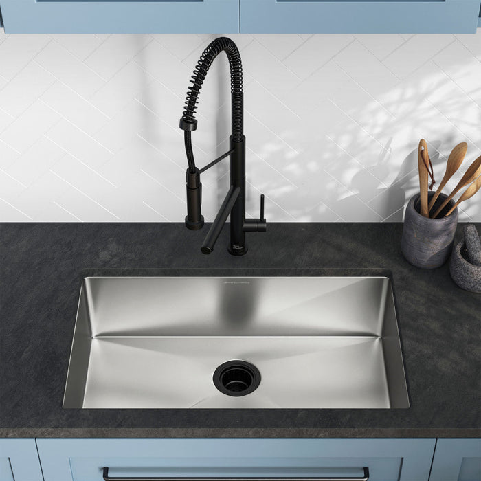 Swiss Madison Rivage 30 x 18 Stainless Steel, Single Basin, Undermount Kitchen Sink - SM-KU700
